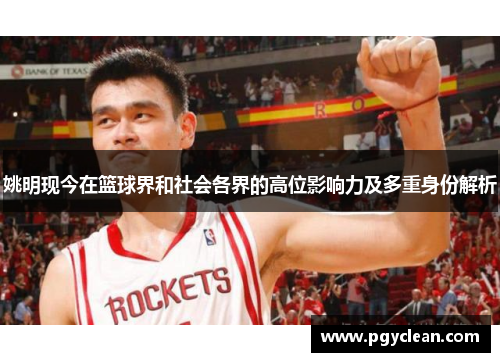 姚明现今在篮球界和社会各界的高位影响力及多重身份解析