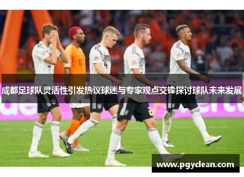 成都足球队灵活性引发热议球迷与专家观点交锋探讨球队未来发展