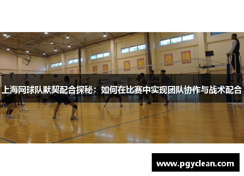 上海网球队默契配合探秘：如何在比赛中实现团队协作与战术配合