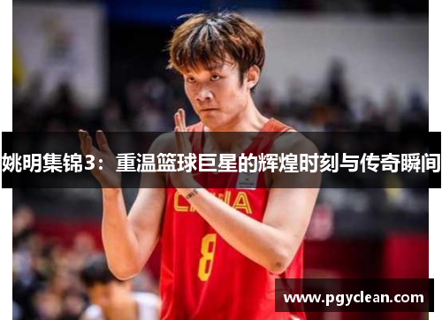 姚明集锦3：重温篮球巨星的辉煌时刻与传奇瞬间