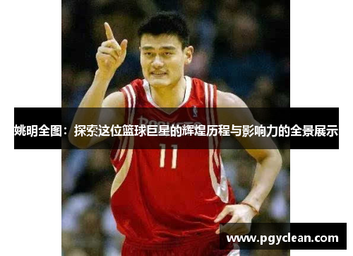 姚明全图：探索这位篮球巨星的辉煌历程与影响力的全景展示