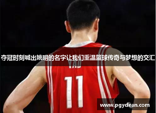 夺冠时刻喊出姚明的名字让我们重温篮球传奇与梦想的交汇